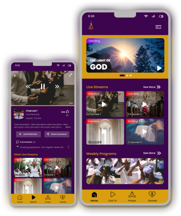 Mobile App Development