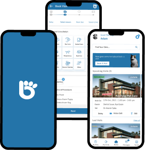 iOS and Android Mobile App Development