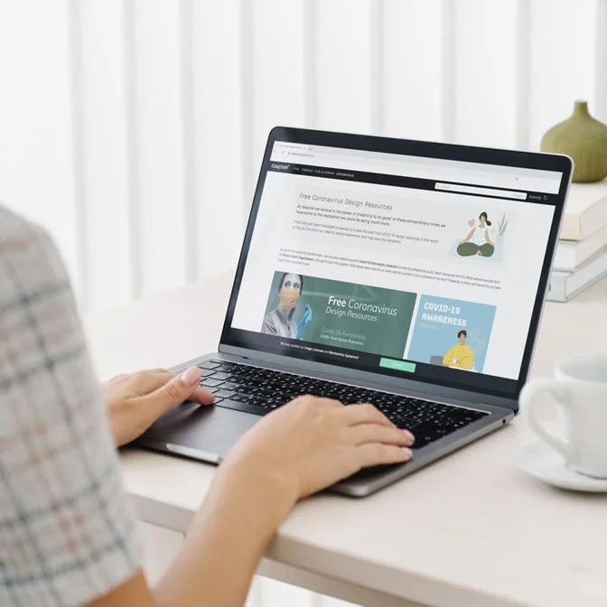Web Design Services in Rosebank